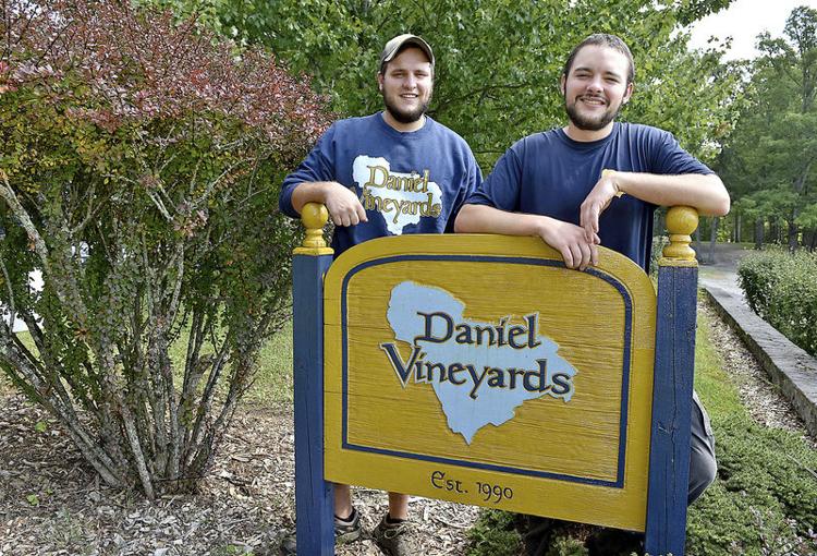 The Daniel brothers - Daniel Vineyards